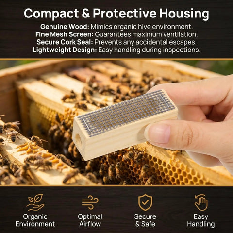Close-up of a hand holding a wooden queen cage with metal mesh and cork seal amid bees, Five Pack Wooden Queen Cages For Beekeeping.