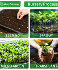 Heavy Duty 1020 Seed Starter Trays No Holes, 21 By 11 Inch Plant Nursery Flats process: seeding, sprout, microgreen, transplant