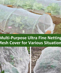 Fortify Your Garden With A 4 By 10 Foot Plant Netting Pest Barrier That Fends Off Insects Birds And Critters And Lets You Grow Vegetables Fruit And Flowers In Raised Beds Or Greenhouses installed over plants