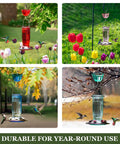 Clear Glass Hummingbird Feeder For Outdoors With Six Feeding Ports Red Ant Moat Included 16 Oz Capacity Easy Fill Wide Mouth Easy To Clean Garden Yard Hanging Bird Feeder For Bird Lovers in garden setting with flowers and birds.