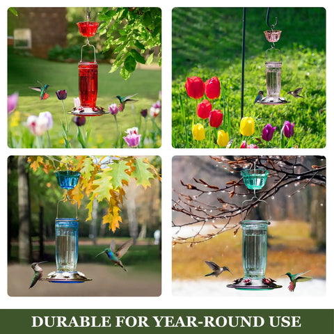 Clear Glass Hummingbird Feeder For Outdoors With Six Feeding Ports Red Ant Moat Included 16 Oz Capacity Easy Fill Wide Mouth Easy To Clean Garden Yard Hanging Bird Feeder For Bird Lovers in garden setting with flowers and birds.
