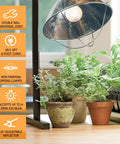 Clamp Lamp With 10 Inch Reflector And Bulb Guard, 300 Watt Bulb, 6 Foot Cord beside potted plants indoors