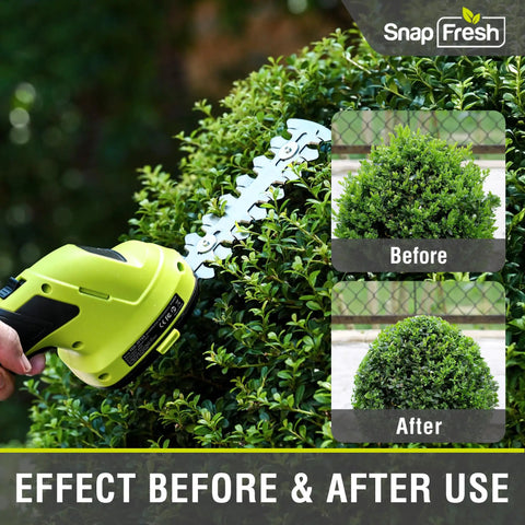 2 In 1 Cordless Hedge Trimmer And Grass Shears For Garden Yard And Lawn Lightweight Handheld Electric Trimmer Before After
