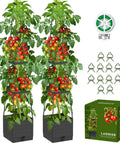Two Pack Raised Garden Bed Tomato Planter With Trellis And 57 Inch Tomato Cage Plant Support Self Watering Planter