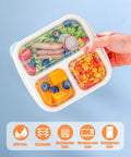 Kids Bento Box Set 4 Pack With 3 Compartments For Meal Prep, Reusable Lunch Containers, Wheat Straw, BPA Free, in hand