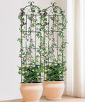 Heavy Duty Rustproof Metal Garden Trellis Set 4 Pack 87 By 20 Inches Climbing Plant Support in pots with vines
