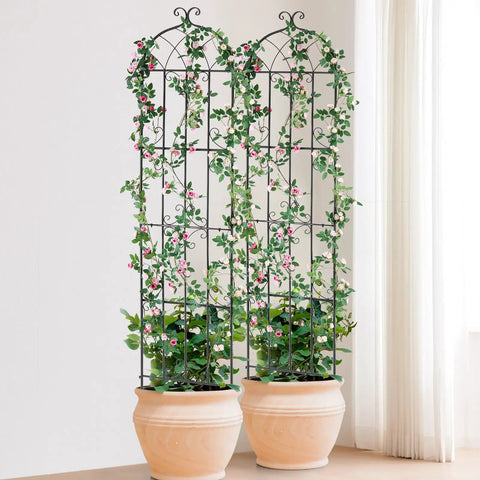 Heavy Duty Rustproof Metal Garden Trellis Set 4 Pack 87 By 20 Inches Climbing Plant Support in pots with vines