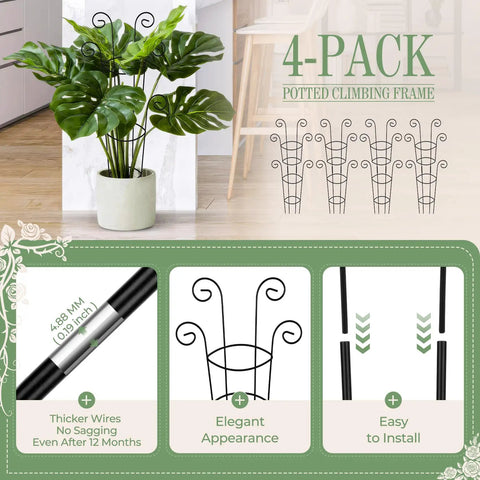 Four Pack 30 Inch Tall Metal Plant Trellis For Climbing Plants Indoor Dope Rustproof Garden Trellis shown with potted monstera