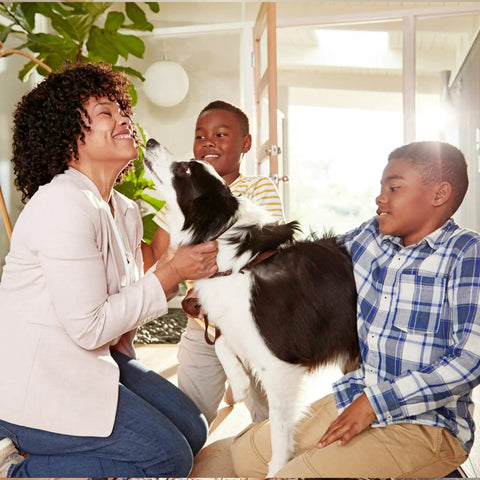 Family with a dog enjoying time indoors, illustrating a clean home environment with 10x20x1 Air Filter MERV 5 6 Pack For Furnace And AC Systems.
