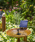 DIY Solar Water Pump Kit For Outdoor Water Features With Six Nozzles Solar Powered Fountain Pump in a garden bird bath setup