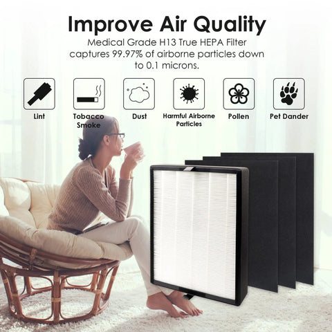 Premium Replacement Filter For Alen BreatheSmart Flex And 45i Air Purifiers with three-stage filtration beside a woman in a chair.