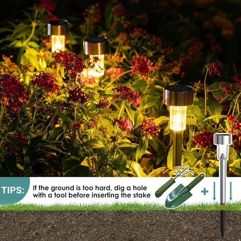 Sun Powered Solar Pathway Lights Outdoor Waterproof Stainless Steel LED Garden Lights illuminating flowers at night