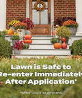 Fall Lawn Fertilizer Sets Up Solid Roots For Serious Recovery From Summer Slump And Heat Stress, with decorated steps and pumpkins.