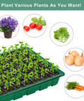 Six Pack Seed Starter Tray Kit With Forty Cell Trays And Humidity Dome, featuring seedlings and various vegetables