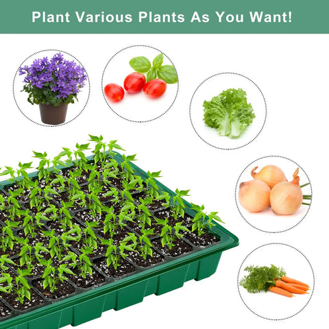 Six Pack Seed Starter Tray Kit With Forty Cell Trays And Humidity Dome, featuring seedlings and various vegetables