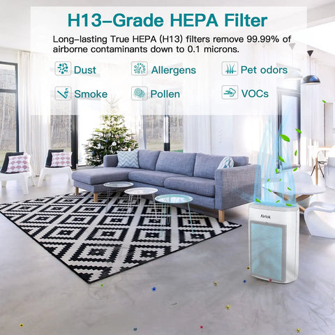 Real Deal AP1002 Replacement Filter For H13 True HEPA Air Purifier in modern living room capturing allergens and odors
