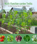 2 Pack Outdoor Plant Trellis Set For Climbing Vegetables And Vines Built To Last Metal With PE Coating No Rust in garden