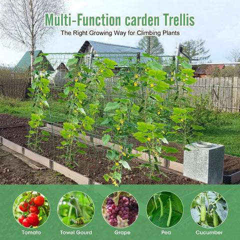 2 Pack Outdoor Plant Trellis Set For Climbing Vegetables And Vines Built To Last Metal With PE Coating No Rust in garden