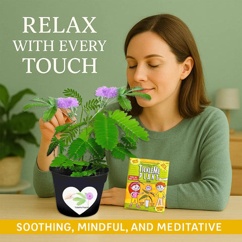 Woman interacting with Touch Me Plant Seeds Indoor 2 Pack That Close Leaves When Touched beside product packaging on a table.