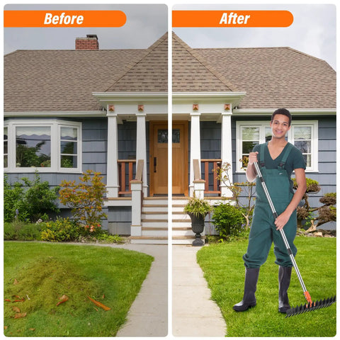 Heavy Duty Metal Thatch Rake For Lawn Care 15 Inch Wide Dethatcher shown before and after lawn use with sturdy handle