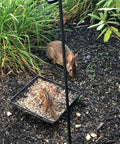 Ground Bird Feeder Tray 8 Inch Square Platform Metal Mesh Seed Holder attracting wild animals in garden setting.