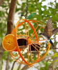 Oriole Bird Feeder For Outdoors Jelly And Oranges Glass And Powder Coated Metal Hanging Feeder With Clear Jelly Cup