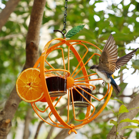 Oriole Bird Feeder For Outdoors Jelly And Oranges Glass And Powder Coated Metal Hanging Feeder With Clear Jelly Cup