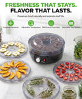 Professional Electric Countertop Food Dehydrator With Five Stackable Trays For Making Jerky, Dried Fruit, Herbs And Veggies on a countertop with dried fruits and herbs.