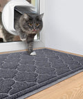Cat stepping onto Non Slip Indoor Outdoor Door Mat 24x36 Inch, Low Profile Durable Front Door Welcome Mat, Grey, by door