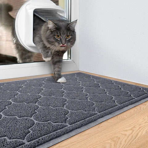 Cat stepping onto Non Slip Indoor Outdoor Door Mat 24x36 Inch, Low Profile Durable Front Door Welcome Mat, Grey, by door