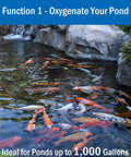 Outdoor koi pond with fish, rocks, and waterfall demonstrating All In One Koi Pond Aerator Kit For Outdoor Ponds Up To 1000 Gallons.