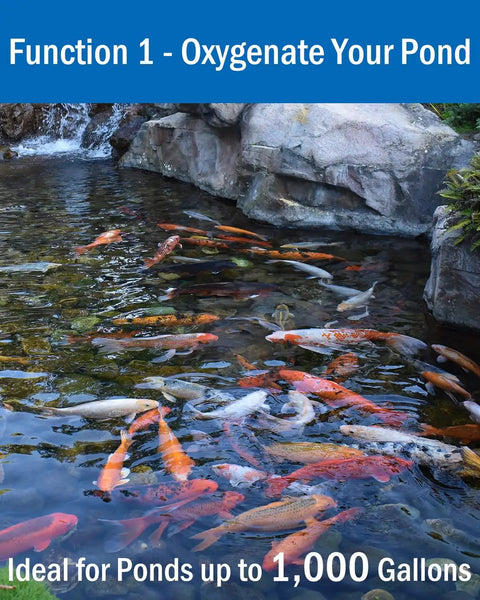 Outdoor koi pond with fish, rocks, and waterfall demonstrating All In One Koi Pond Aerator Kit For Outdoor Ponds Up To 1000 Gallons.