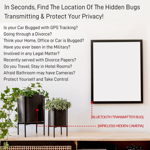 Hidden Spy Camera Detector Portable Anti Spy Scanner For Covert Cameras And Hidden Devices next to potted plants and a wall frame