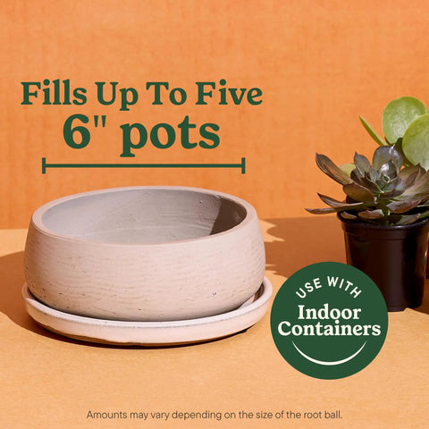 Top Shelf Indoor Potting Mix For Cactus And Succulents Featuring Sweet Roots Development With Rapid Drainage Sand Perlite And Peat Moss Formula Plus Loaded Plant Food For Ace Houseplants In 8 Quart Packs, showcasing a round pot and succulent.