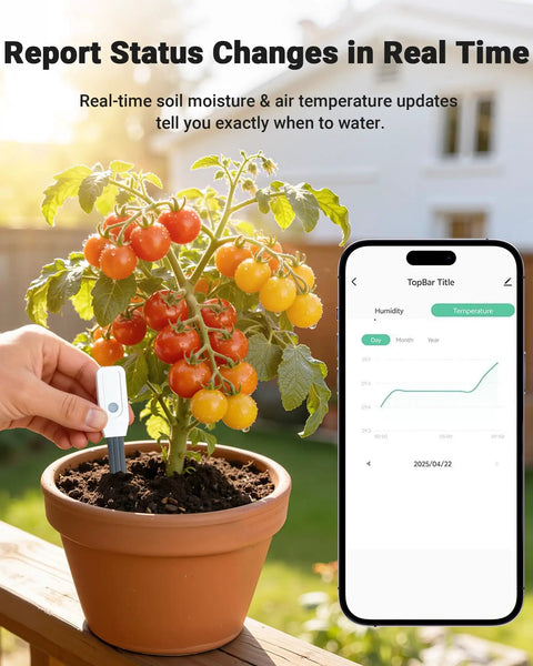 Smart WiFi Soil Moisture Meter For Plants With App Alerts No Guesswork 2 In 1 Sensor Tracks Moisture And Temperature Remotely Real Time Data For Indoor Outdoor Gardening And Houseplant Care., shown in potted tomato plant and phone app