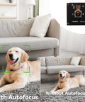 Comparison of Ultra HD 48MP USB Camera With Fast Autofocus For Laser Engravers And Machine Vision 4K with and without autofocus on a dog