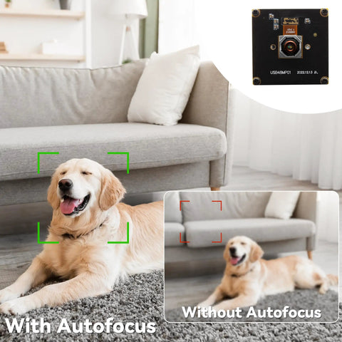 Comparison of Ultra HD 48MP USB Camera With Fast Autofocus For Laser Engravers And Machine Vision 4K with and without autofocus on a dog