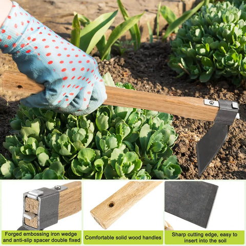 Gardener using Heavy Duty Curved Garden Hoe Mattock with Wooden Handle Fifteen Point Four Inch Stainless Steel Digging Weeding Tool in garden.
