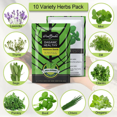 Indoor Herb Garden Starter Kit With 10 Non GMO Herb Seeds Soil Pots And Moisture Meter For Easy Windowsill Gardening Pack