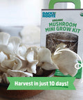 Organic Mini Mushroom Grow Kit For Gourmet Oyster Mushrooms In 10 Days Easy At Home Harvest No Fuss Gardening Gift Box with Mushrooms