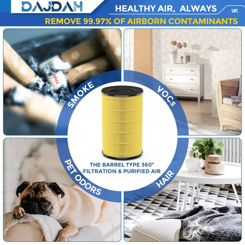 Image of Replacement True HEPA Filter For Homedics Air Purifier 5 In 1, AP-T40FL And AP-T45, showcasing filtered air benefits.
