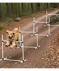 Golden retriever jumping over Indoor Outdoor Dog Agility Jump Set With 4 Bar Hurdles on a forest path