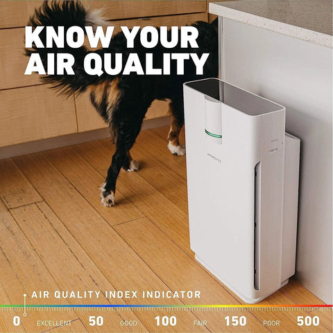 White Hathaspace HSP002 HEPA air purifier on wooden floor beside a cabinet; dog in background.