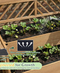Two Tier Raised Garden Bed With Lattice Trellis For Outdoor Flowers And Veggies, 47.2 Inch Tall Wood Plant Stand with plants