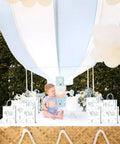 Hot Air Balloon Themed First Birthday Goodie Bags For Baby Boy Party Favors And Decorations Treat Bags For Snacks Mr Wonderful Style Party Supplies For A Cute First Birthday Bash displayed on table with baby and cake.