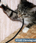 Tough As Nails Braided Cable Protector Sleeving For Zero Tangle Cord Wrap And Auto Harness Routing Easy Grip Pet Wire Loom Tube 150 Feet Long black cat playing with exposed cables.