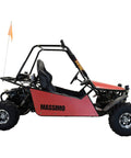 200Cc Go Kart 2WD Off Road Baja Buggy Red With Headlights Tail Lights And Turn Signals 8.7 HP Built In Texas Assembled