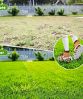 Lawn Aerator Shoes With Wrap Around Lacing And 22 Nails For Deep Soil Aeration In Yards, Patios And Gardens before and after results