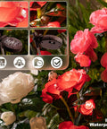 Solar Garden Lights Outdoor 10 Waterproof Fabric Roses 2 Pack Rad Red Led Flower Decorations with IP65 rating