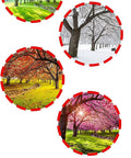 Four seasonal landscapes showing trees in spring, summer, autumn, and winter; text reads 'Made for All Seasons' highlighting versatility.